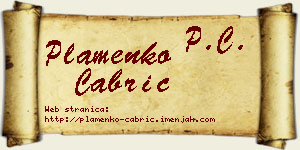Plamenko Čabrić vizit kartica